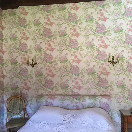 Grande Maison Familiale Foix